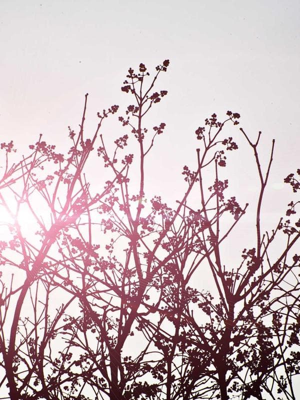 Showroom teşhir alanı